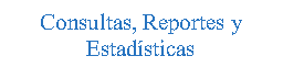 Cuadro de texto: Consultas, Reportes yEstad�sticas