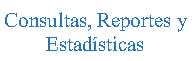 Cuadro de texto: Consultas, Reportes yEstad�sticas