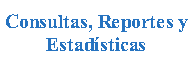 Cuadro de texto: Consultas, Reportes yEstad�sticas