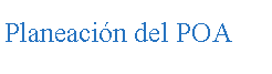 Cuadro de texto: Planeaci�n del POA