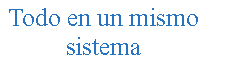 Cuadro de texto: Todo en un mismo sistema