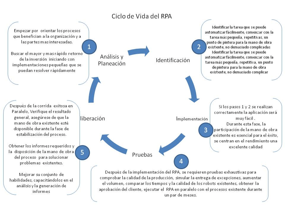 Ciclo de Vida