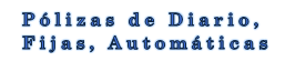 Poliza de Diario